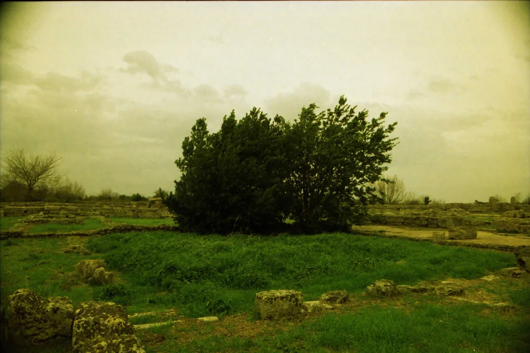 Picture