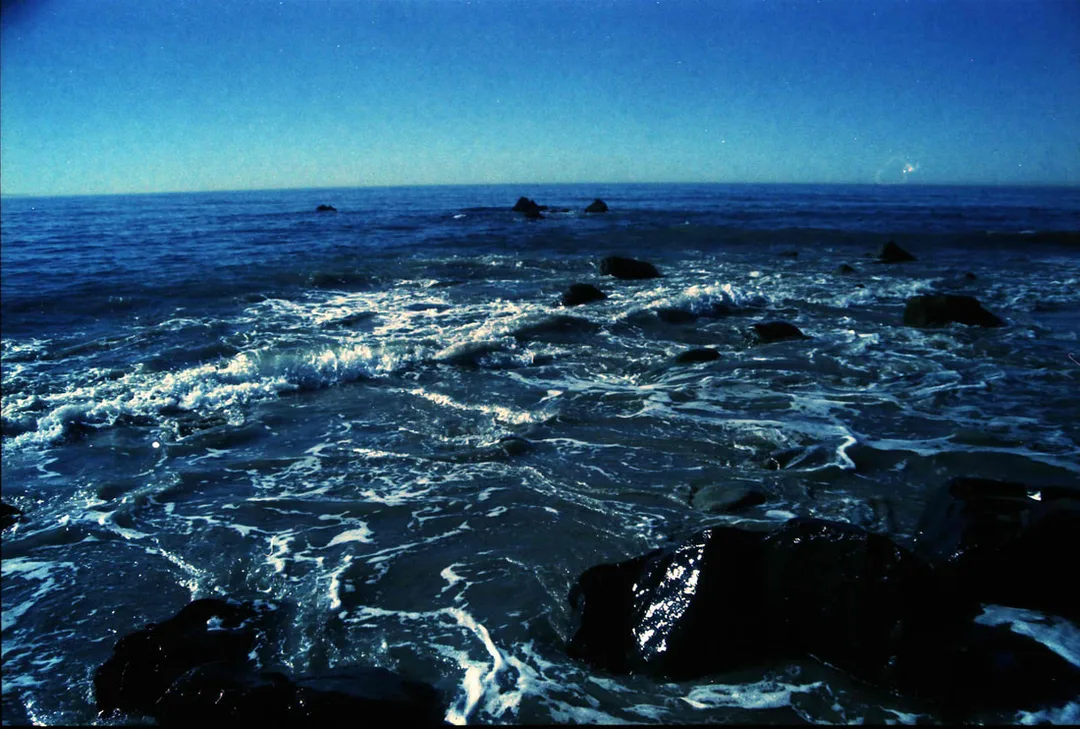 Picture