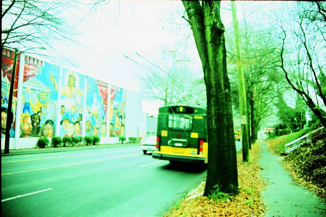 Picture