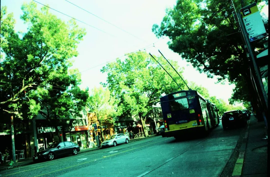 Picture